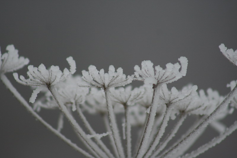 IMG_1710.jpg1.jpg"%20height="533"%20width="800